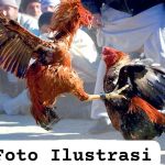 IMG-20250107-WA0451